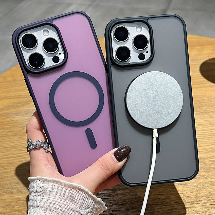 Frosted Skin Feel MagSafe Phone Case